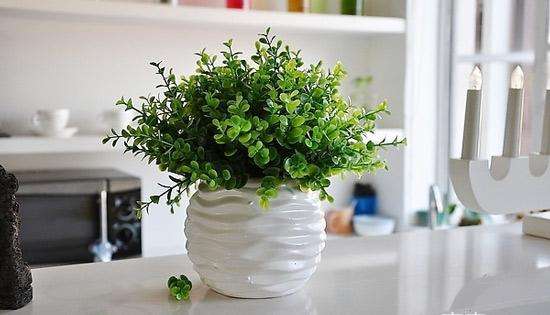 新装修房子用醋去甲醛可行,新房装修放醋可以去除甲醛吗