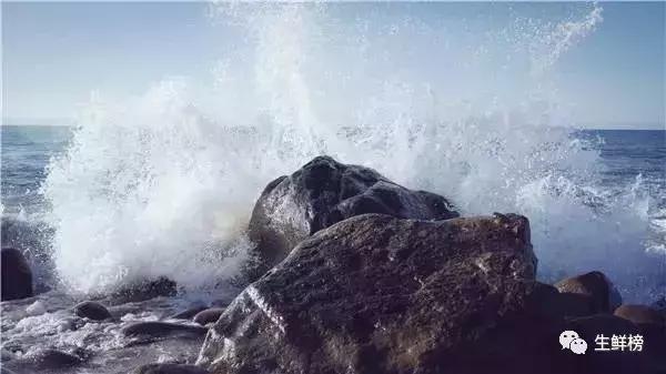 今日高榕资本生鲜寒战