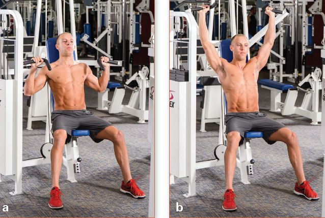 增肌一周各部位训练计划表,增肌训练计划每天练习不同部位