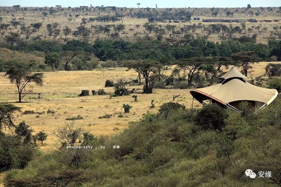 他，百亿富豪，常近乎全裸出现在公共视线里，却被英女王封为爵士
