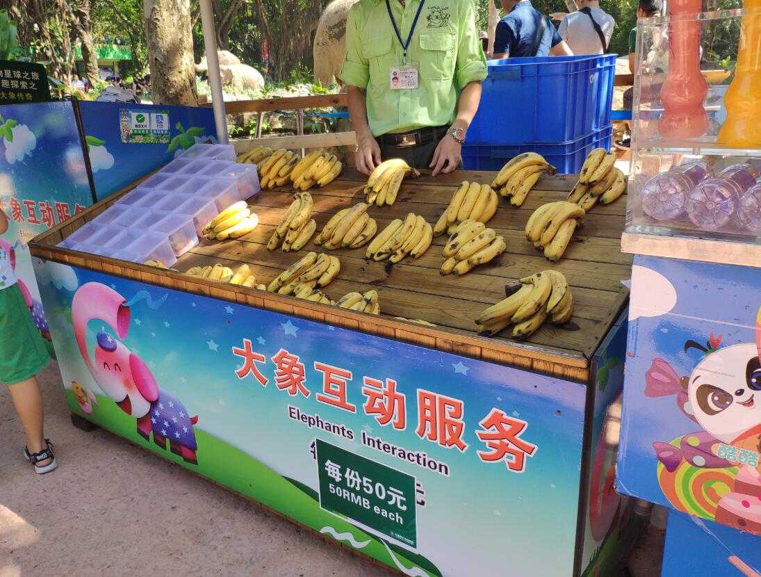 打卡6省最大的野生动物园,打卡各地野生动物园