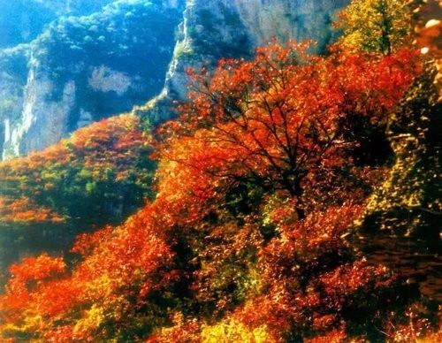 郑州漂亮的秋色风景,郑州的这些湖畔藏着最美的秋色