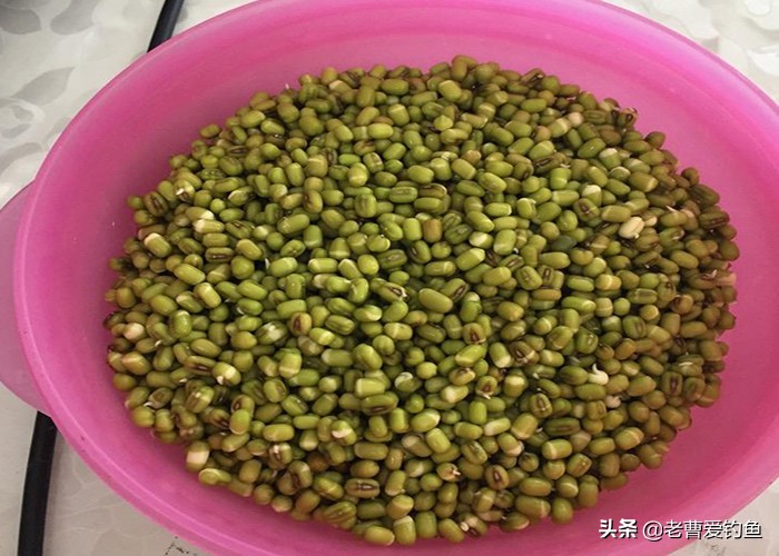 自制谷物窝料简单方便诱鱼效果好,西部风五谷杂粮玉米窝料2500克