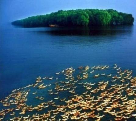 沾衣欲湿杏花酒不寒杨柳风,沾衣杏花雨吹面不寒杨柳风意思