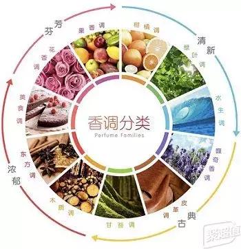 夏季香水什么味道好闻又持久,夏天香水都有哪些味道好闻