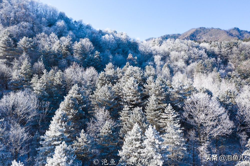 陕西秦岭发现的石头,捡石头下雪了后续