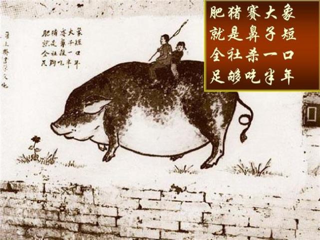 动画动漫漫画有何区别,卡通动画漫画