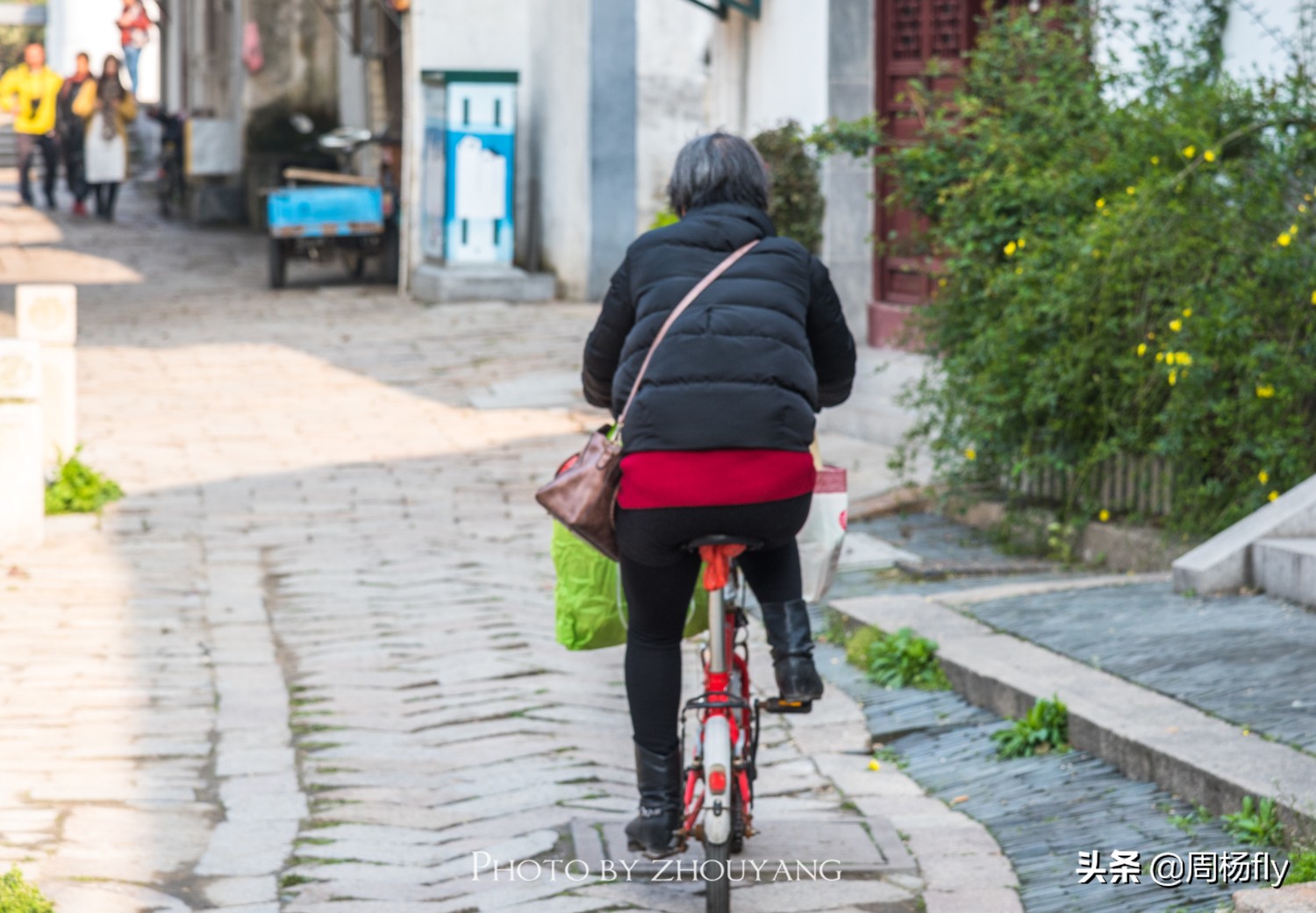 同里梦里水乡全景,同里古镇清晨视频