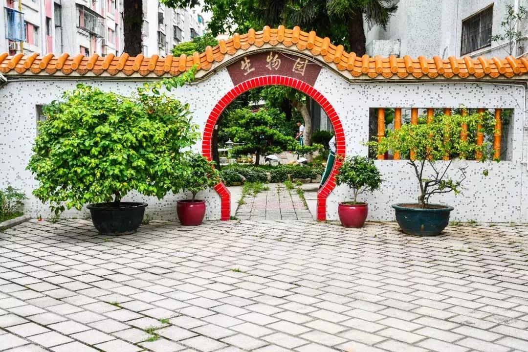 金荷中学,汕头市金荷中学