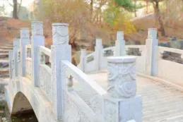 沈阳音乐学院院校代号,辽宁三所高校