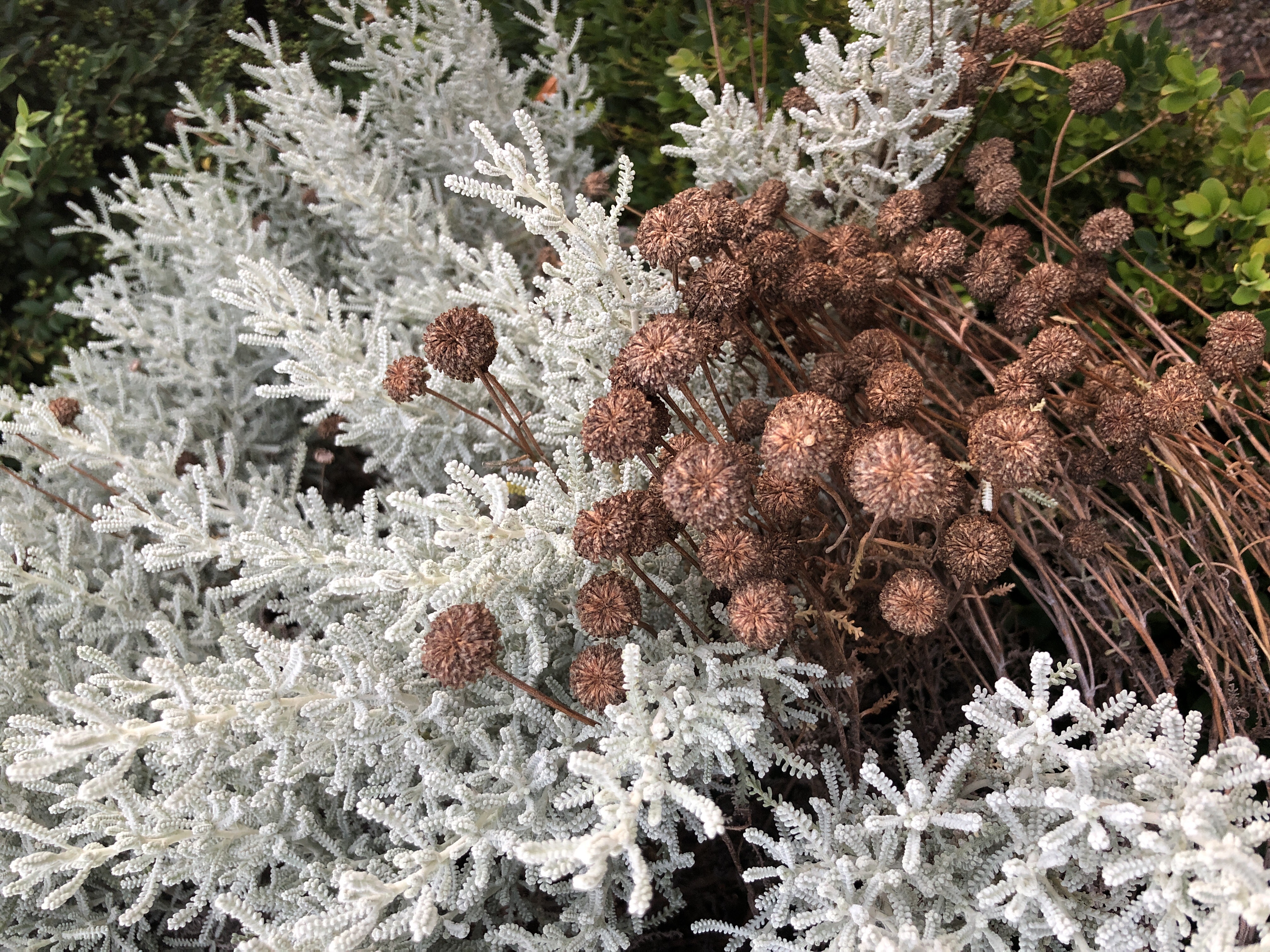 英国12日旅游的行程,英国深度游跟团6日