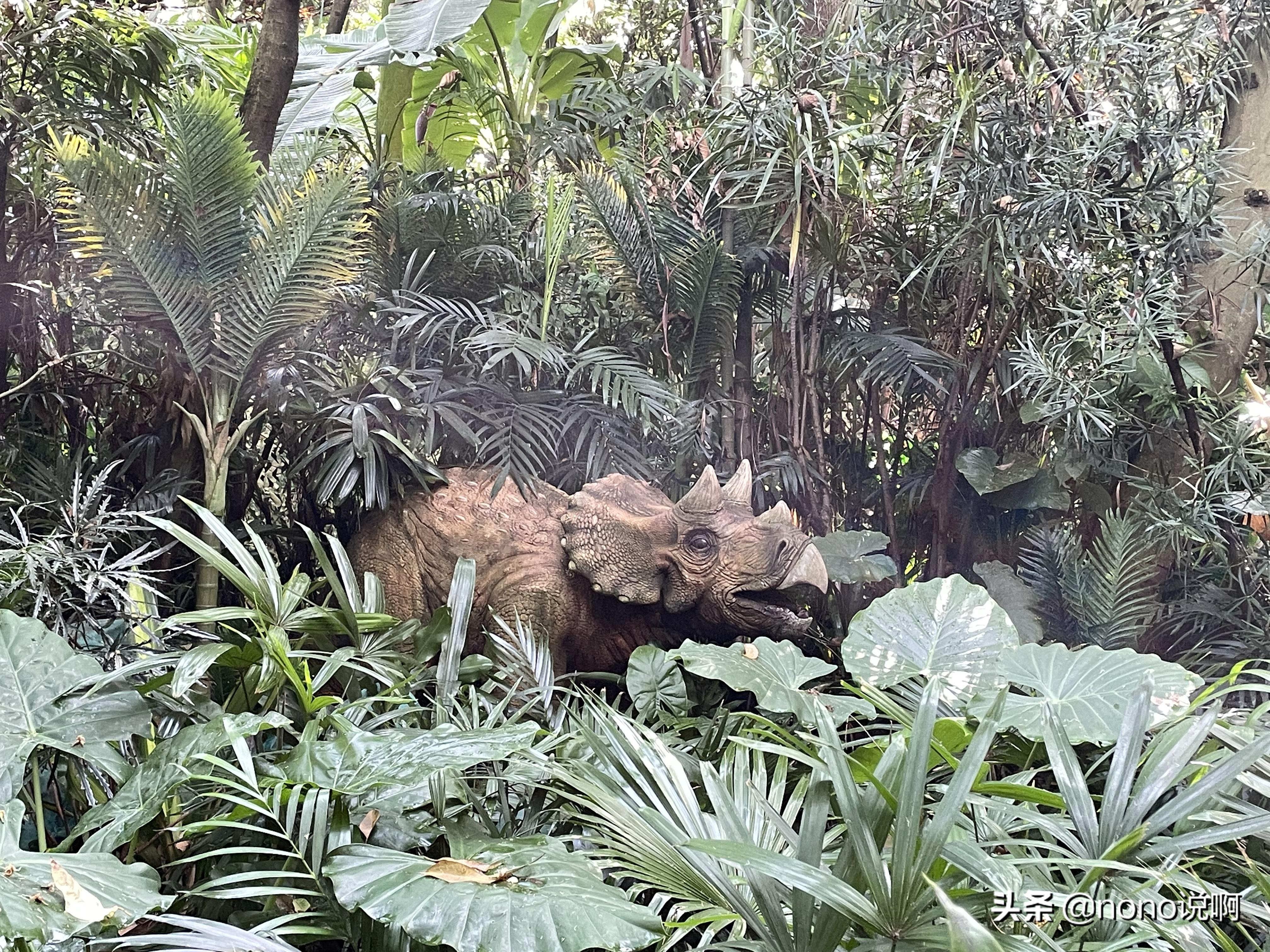 广州长隆野生动物园亲子旅游攻略,11月广州长隆野生动物园游玩攻略