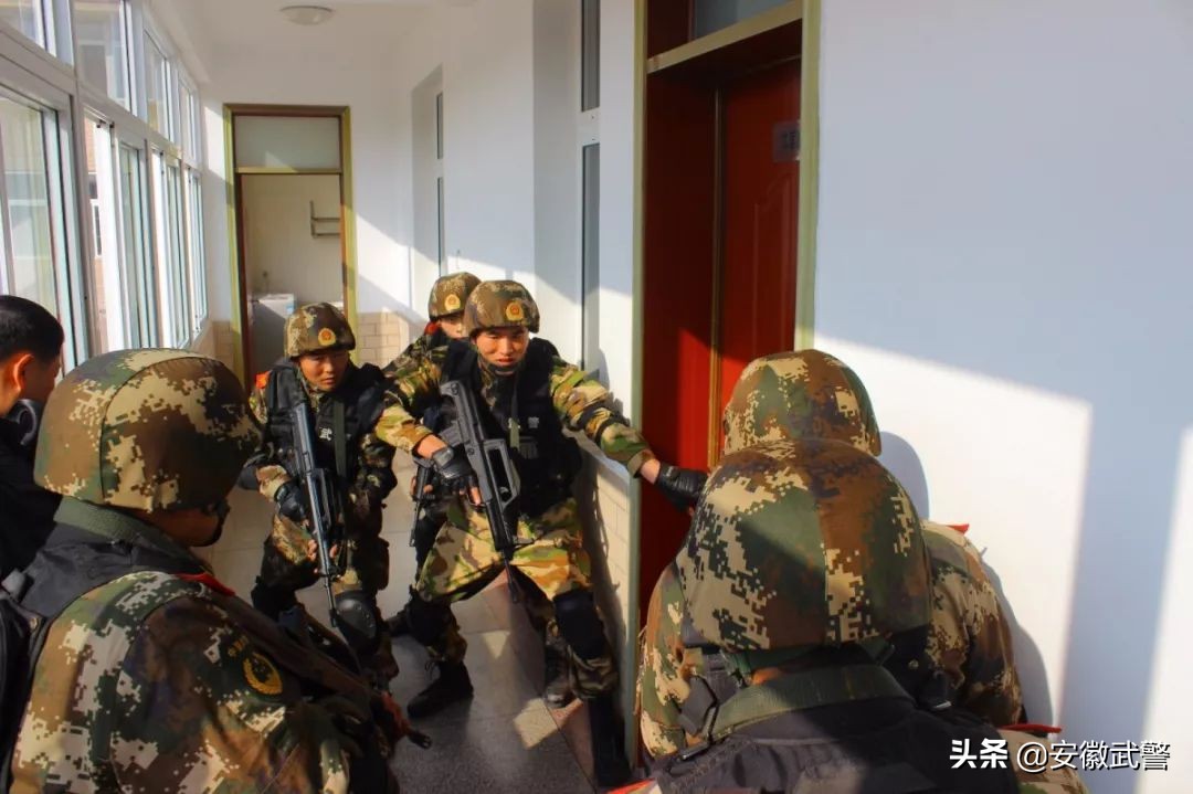 犟人的视频,犟人