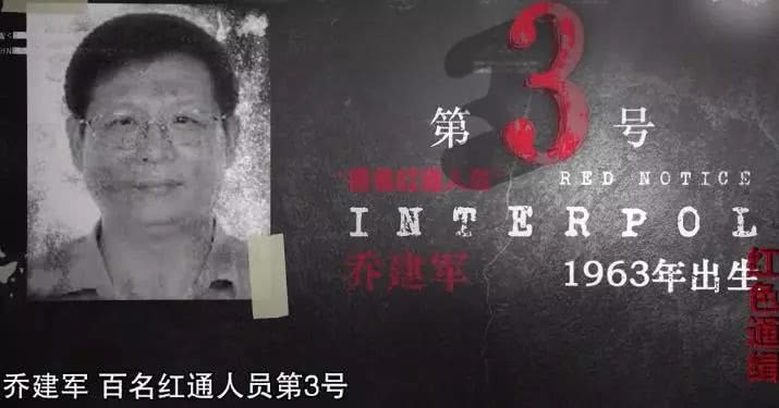 国际红通追逃人员,中国境外红通通缉前10名
