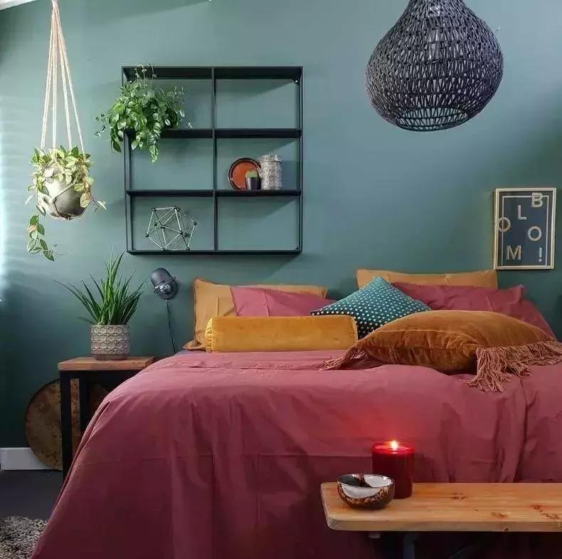 绿色具有代表性的植物,绿色植物好看的有哪些