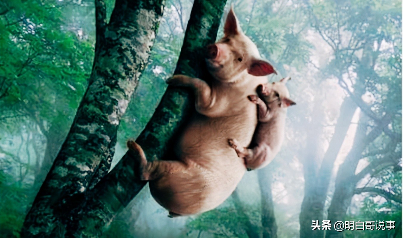 如何看待社会当下“仇男”和“仇女”的现象？结婚难与性别态度