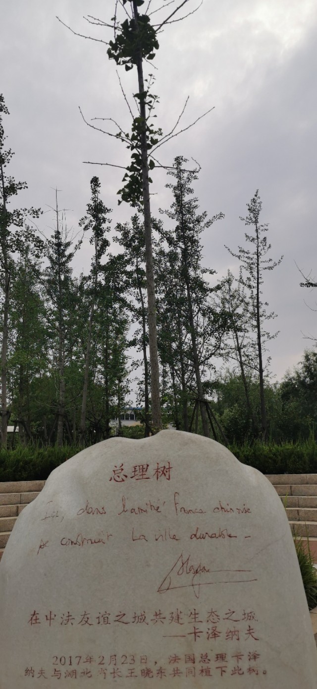 后官湖湿地公园环游,后官湖湿地公园游后感