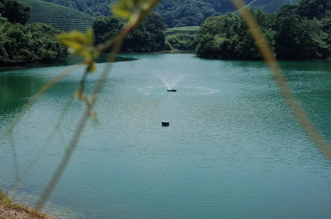 杭州西湖人少景美的地方,杭州人少景美免费景点