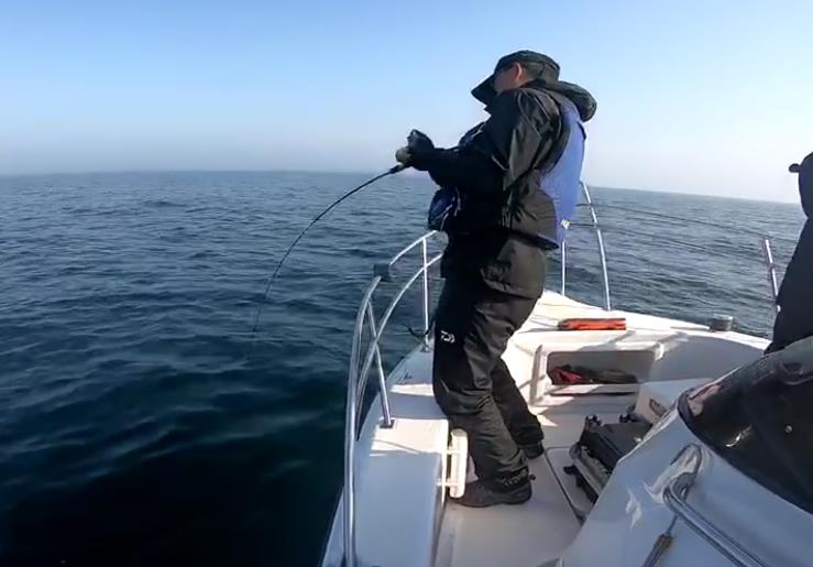 海钓趣事,海钓历险记视频大全