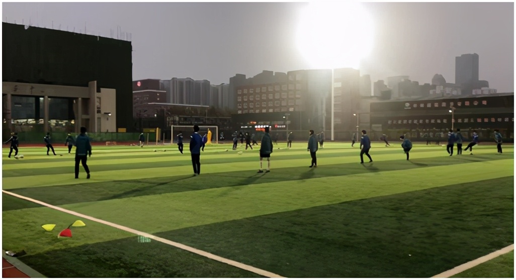 绿茵场上的球王,绿茵场上的小运动员