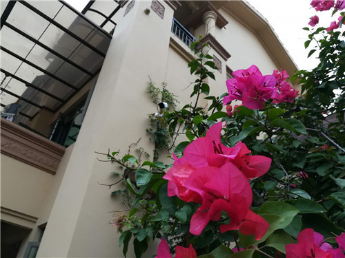 监控摄像头安装方法与注意事项,专业安装监控摄像头需要什么