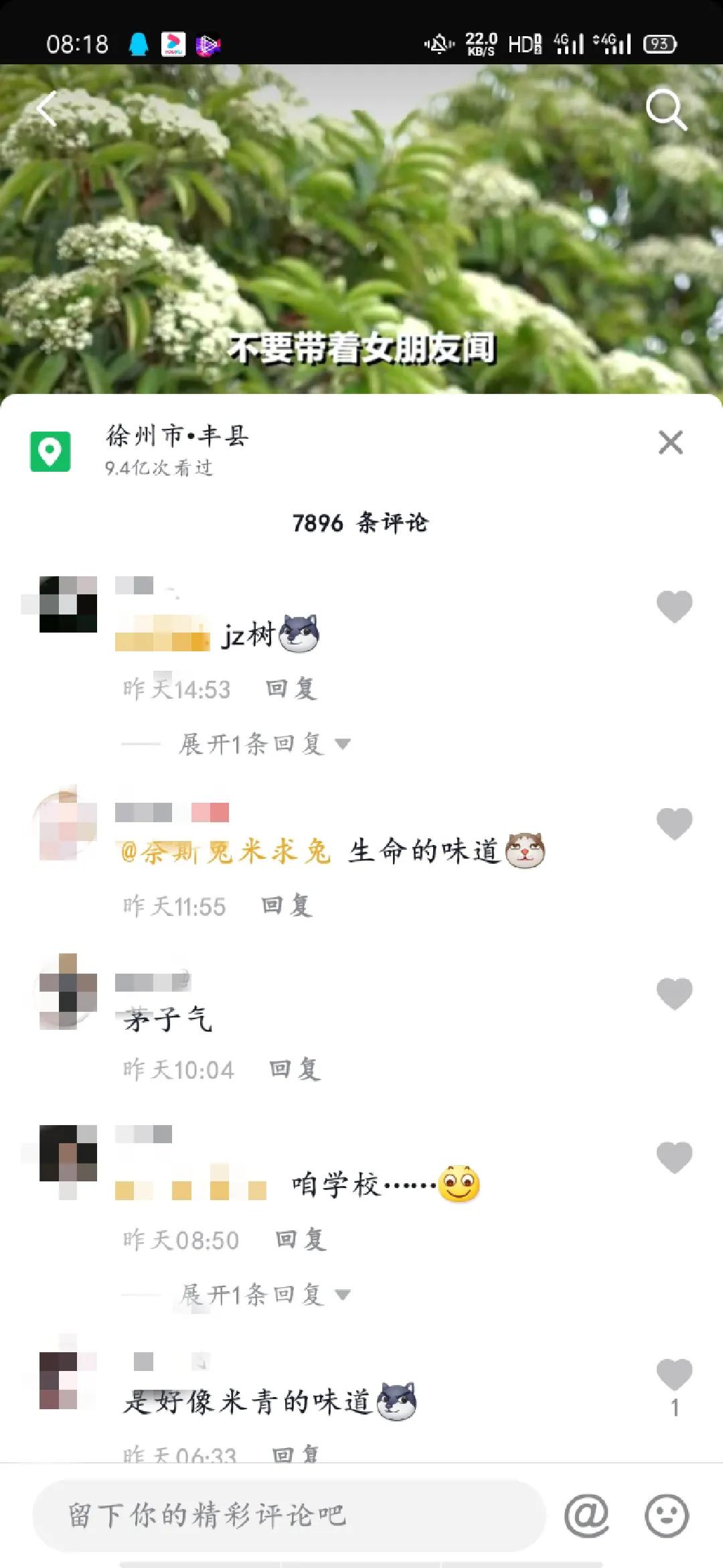 石楠花为什么是生命之花,石楠花是怎样的