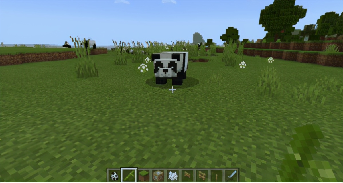 我的世界熊猫吃什么会繁殖,我的世界熊猫怎么繁育出特殊熊猫