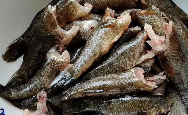 炖鱼时用热水还是凉水教你一招,炖鱼放开水还是放凉水鱼肉嫩呢