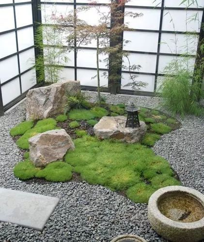 庭院植物搭配效果图,中式庭院景观植物搭配