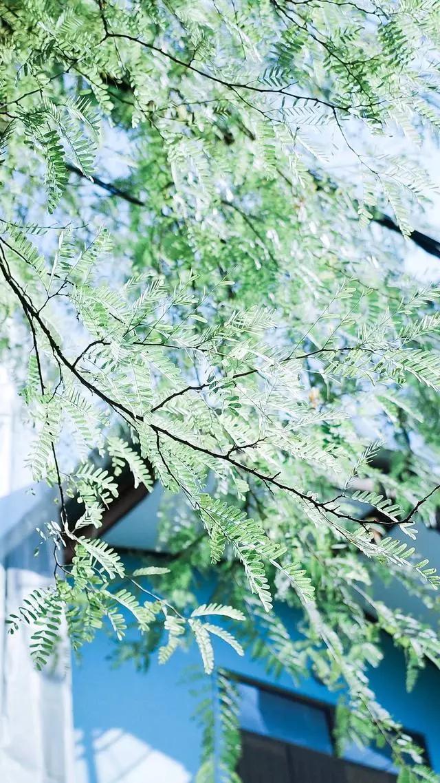 经典搞笑段子热门短句大全,幽默经典搞笑段子短句