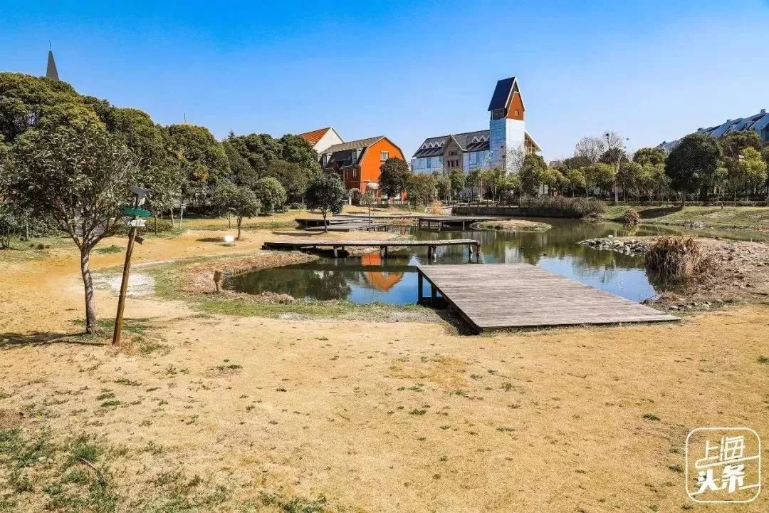 上海一日游古镇最佳路线免费景点,上海晚上十大必去免费景点