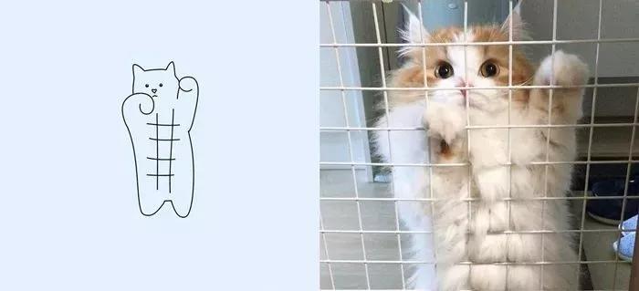 一波可爱动物简笔画,超火的简笔画动图