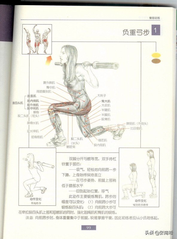 男士健身的进阶之路,男士运动健身全攻略