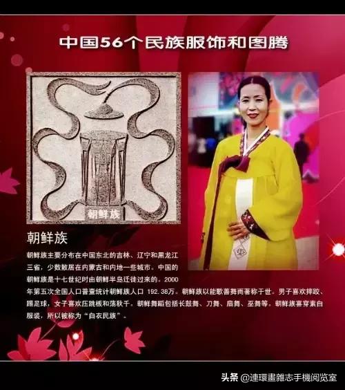 外网评论中国56个民族服饰,56个民族的图腾