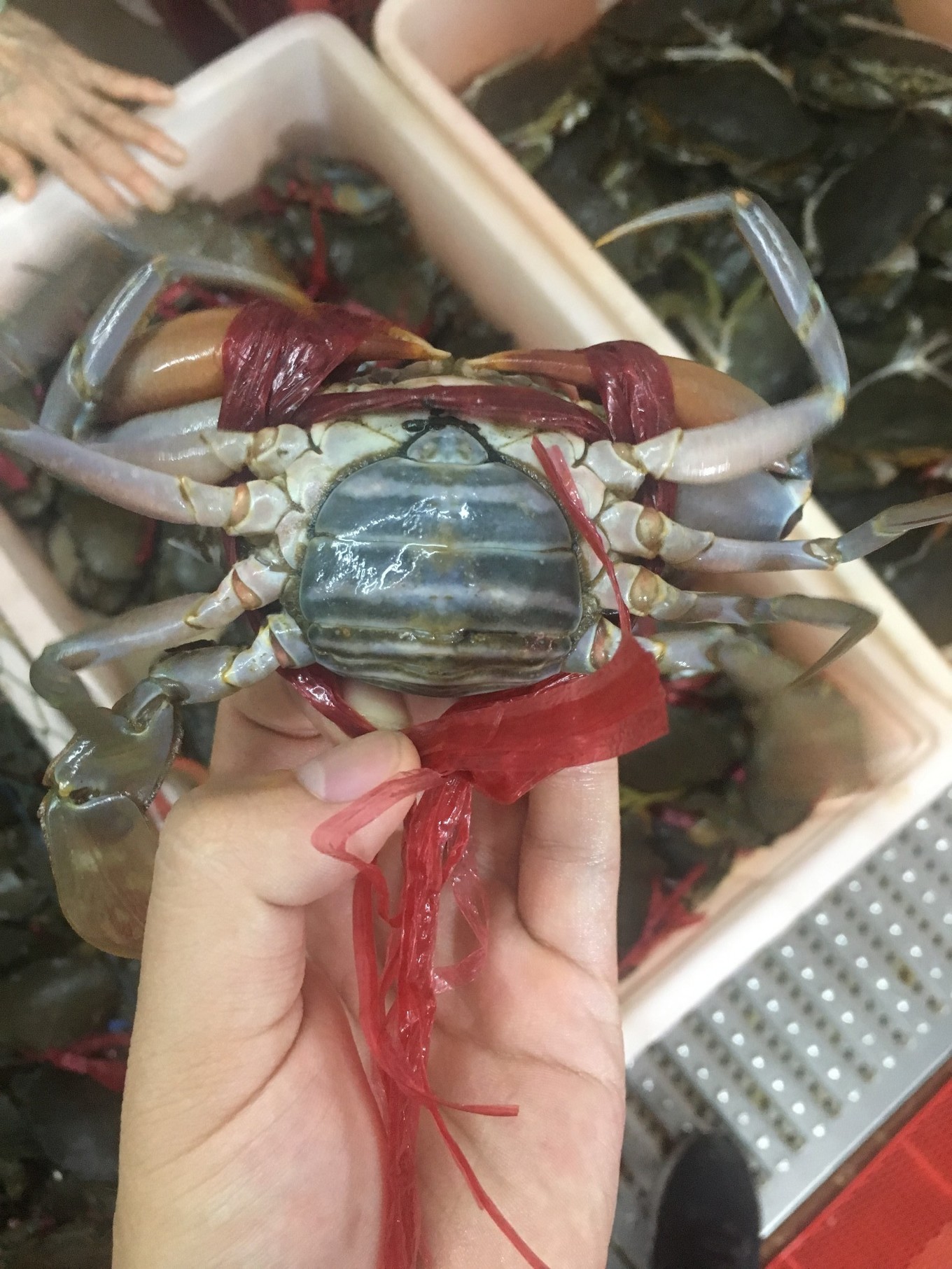 三亚旅游吃海鲜防宰攻略,三亚蜈支洲岛吃海鲜攻略