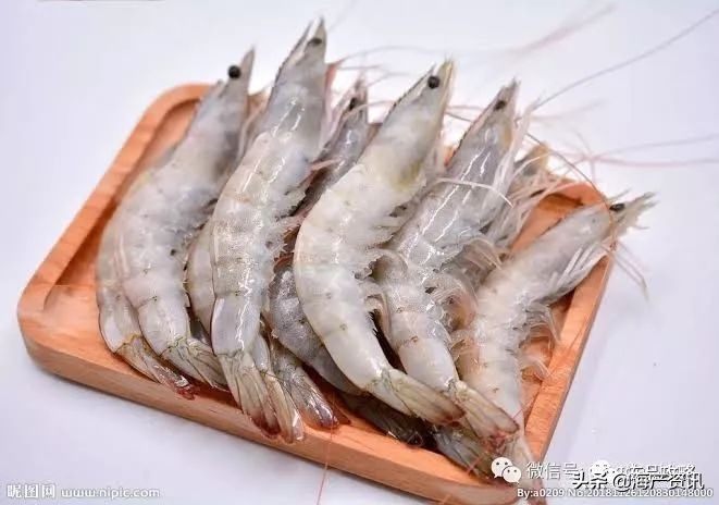 南美白对虾最全知识科普,南美对虾科普知识大全