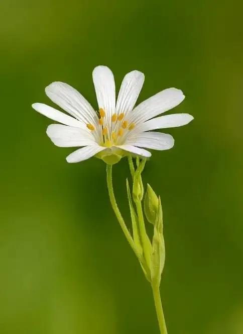 一年级语文下册1-4单元重点复习,部编版一年级下册语文知识点整顿