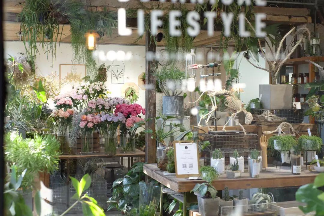 北京最美花店,她放弃了总监职位后续