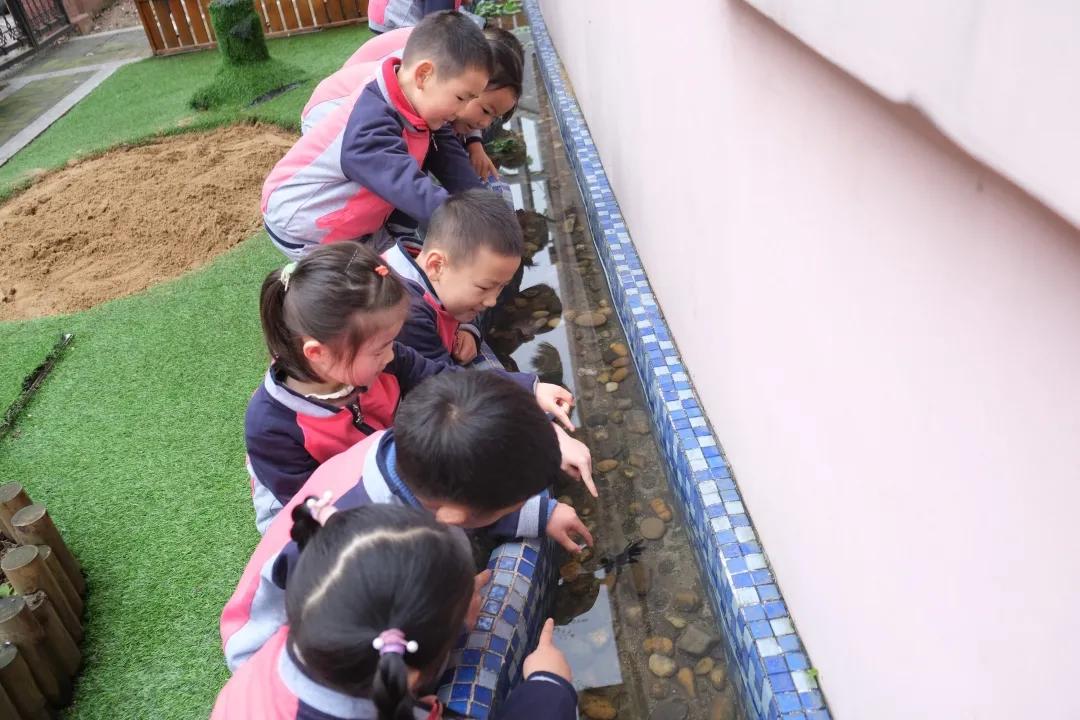 厚植底色行致远砥砺奋进谱新篇——合肥市铜陵新村幼儿园迎评估