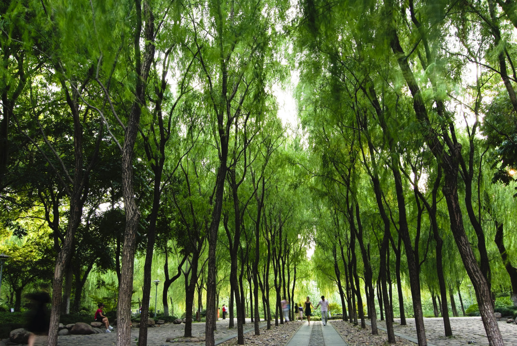 杭州西湖柳浪闻莺景区,杭州西湖柳浪闻莺历史简介