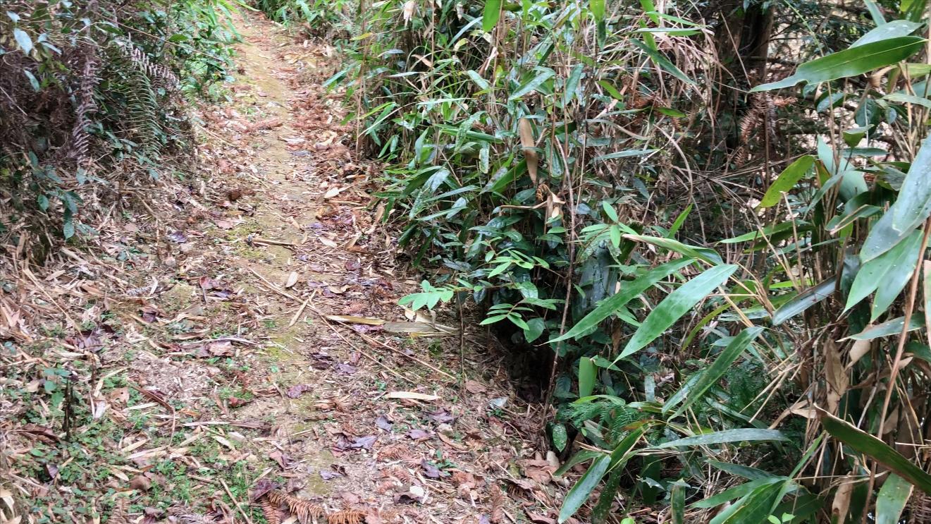 包粽子需要什么名,包粽子还要放什么材料吗