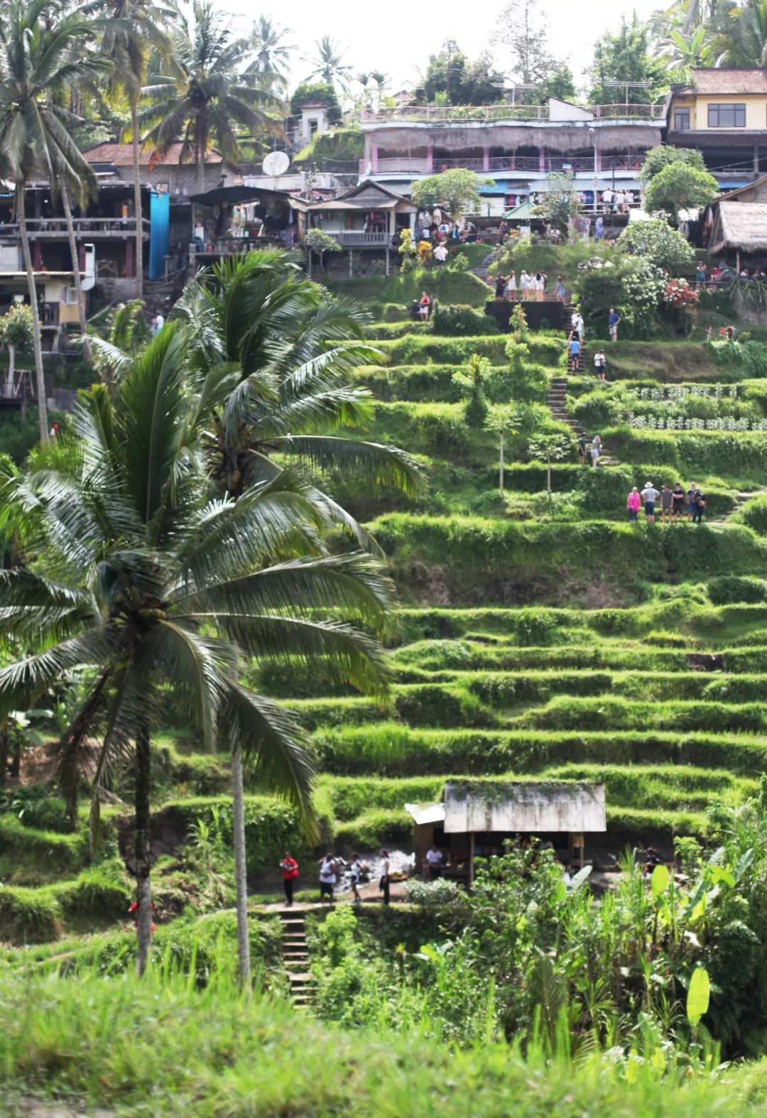 万宁巴厘岛有什么好玩的,巴厘岛自由玩
