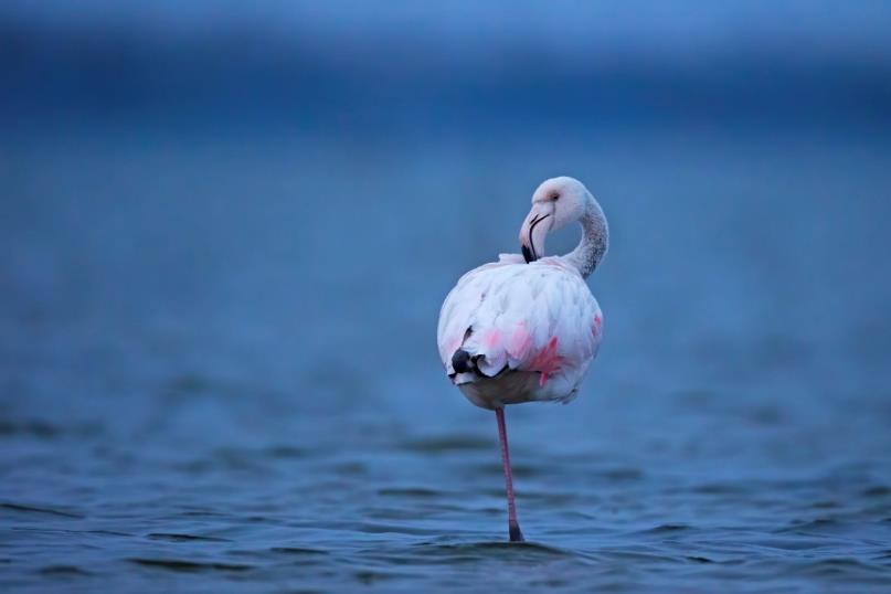 索尼alpha6000使用方法,索尼alpha6000使用技巧