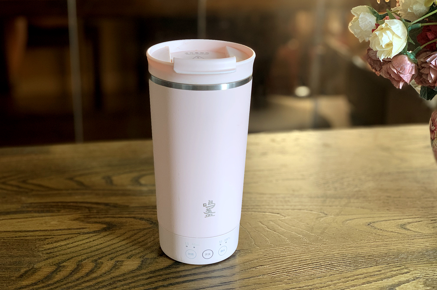 烧水杯小型便携式哪个牌子好,荣事达便携式烧水杯怎么样