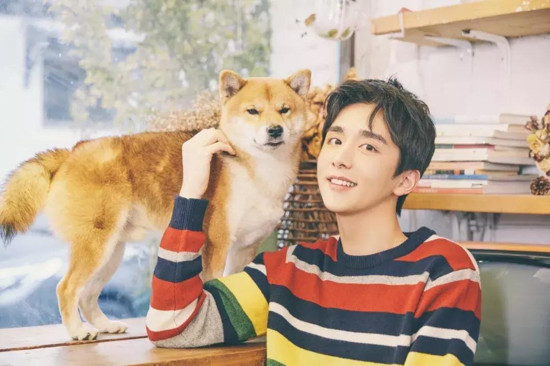 少年正青春｜超新星