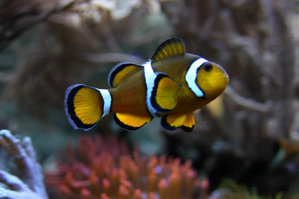 睁眼看见大海,睁开眼就能看到大海的感觉