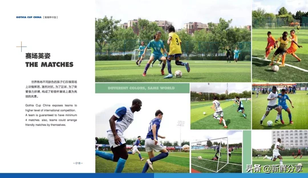 哥德杯世界青少年足球赛,国际青少年足球大赛在哪里举办