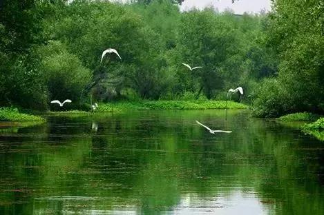 全国5a级旅游景区名单一览表,国家首批5a级景区名单公布