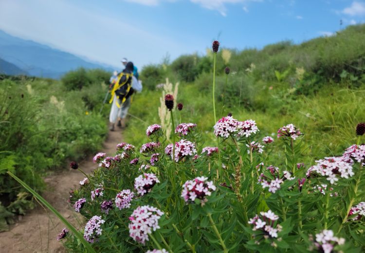 五台山是净化心灵的一片净土,五台山感受内心的宁静