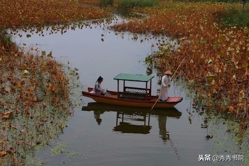 长安雅士教古琴,长安雅士古琴教学